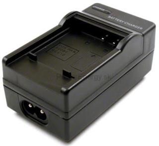 Nabíjačka batérií pre Panasonic DMW-BCE10E, CGA-S008, Ricoh DB-70